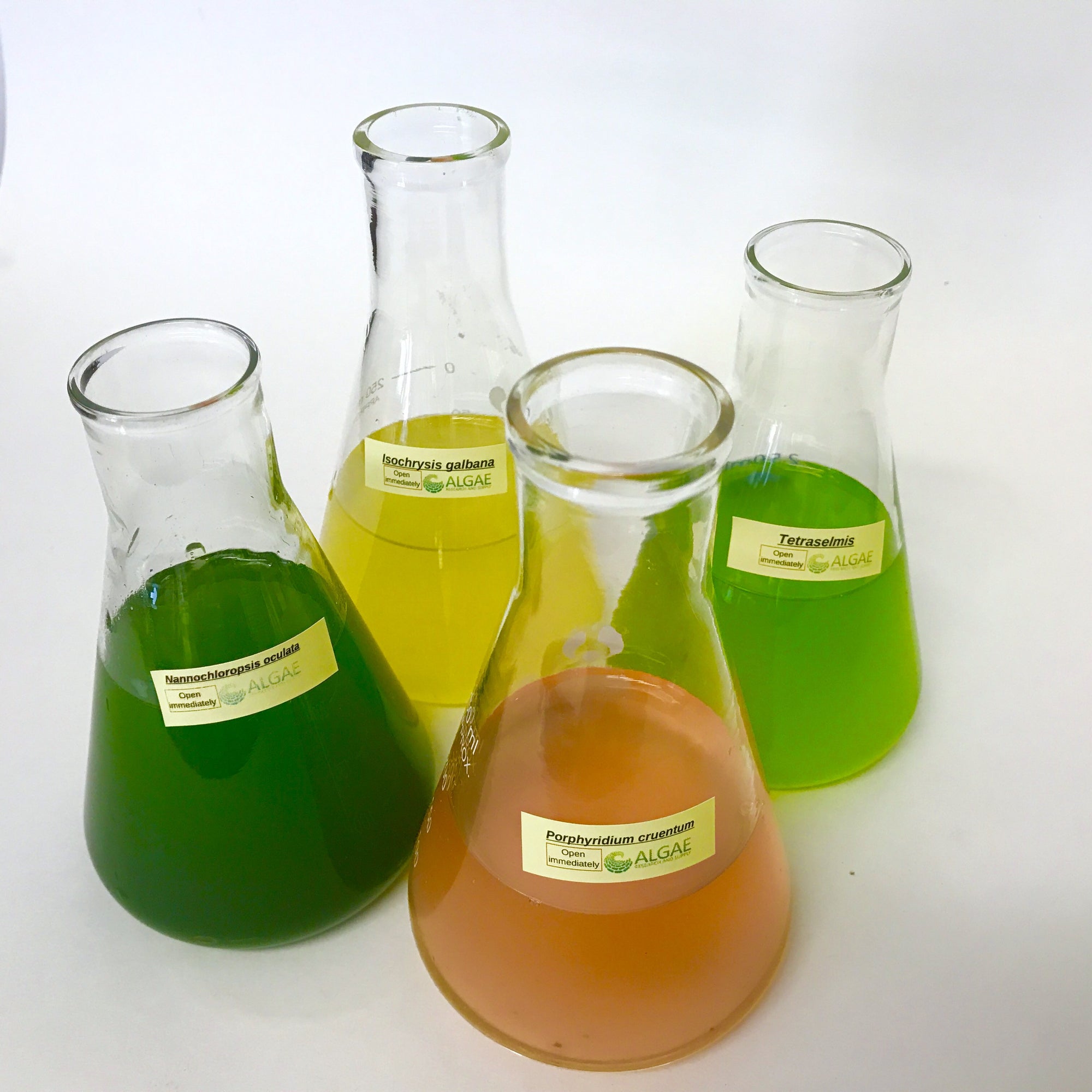 Filter Feeder Formula of microalgae is a blend of four Live Phytoplankton species.