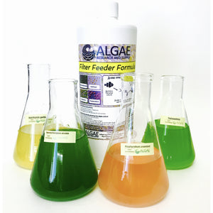Filter Feeder Formula of microalgae is a blend of four Live Phytoplankton species.