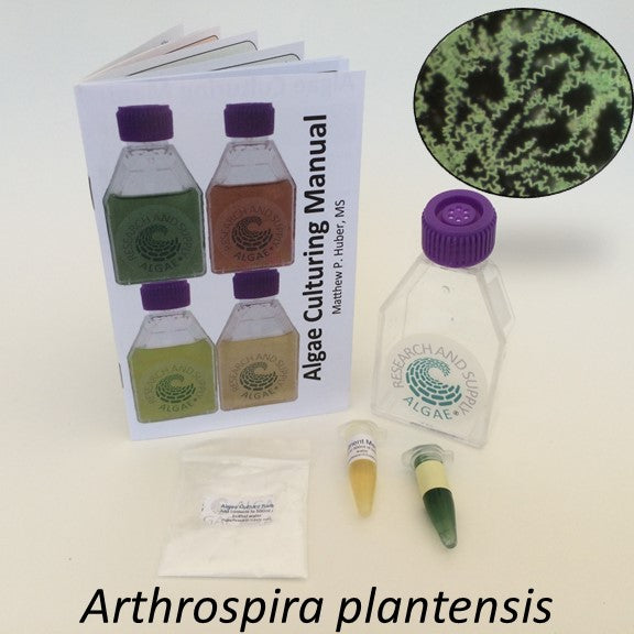 Algae culturing kit for spirulina, Arthrospira platensis.  Easy to use and the kit includes a culturing book.