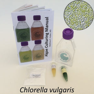 Algae culturing kit for growing the green algae Chlorella vulgaris.