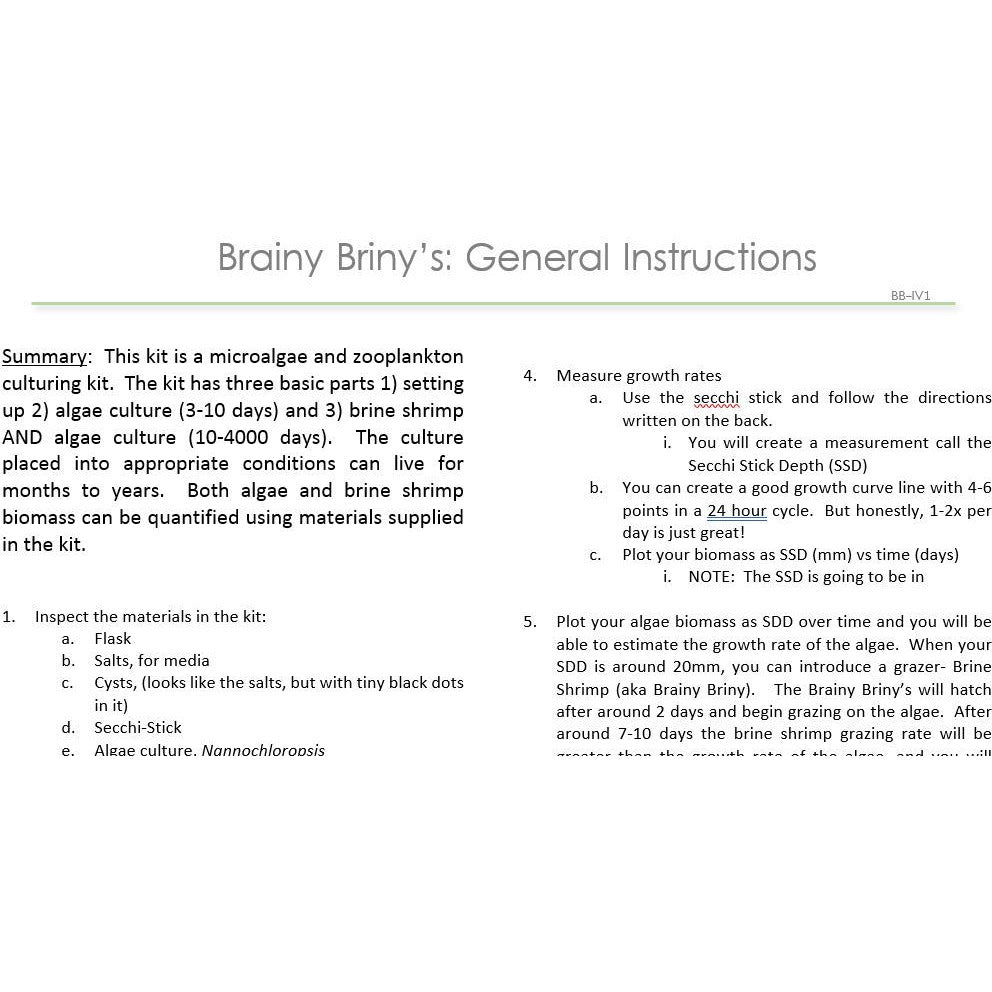 Brainy Briny's:  General Instructions