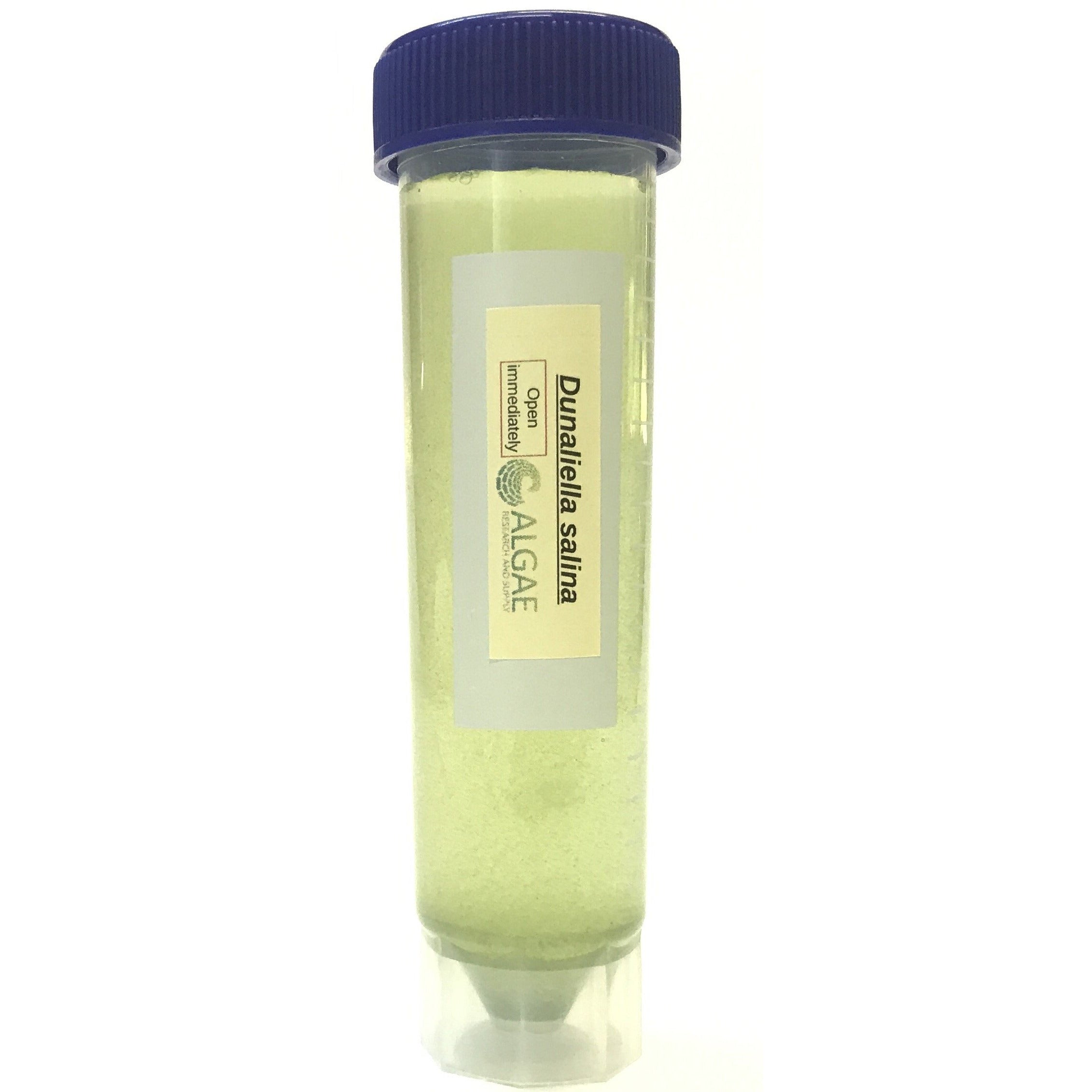Algae Research Supply: Algae Culture, Dunaliella salina