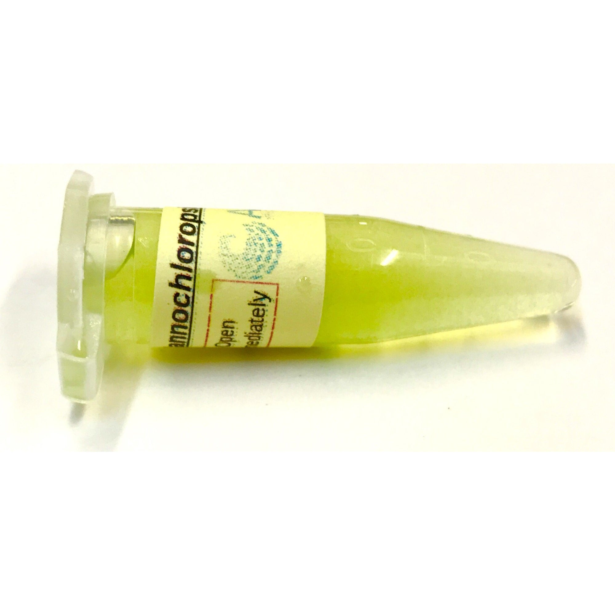 1ml snap cap vial of nanochloropsis occulata from Algae Research Supply