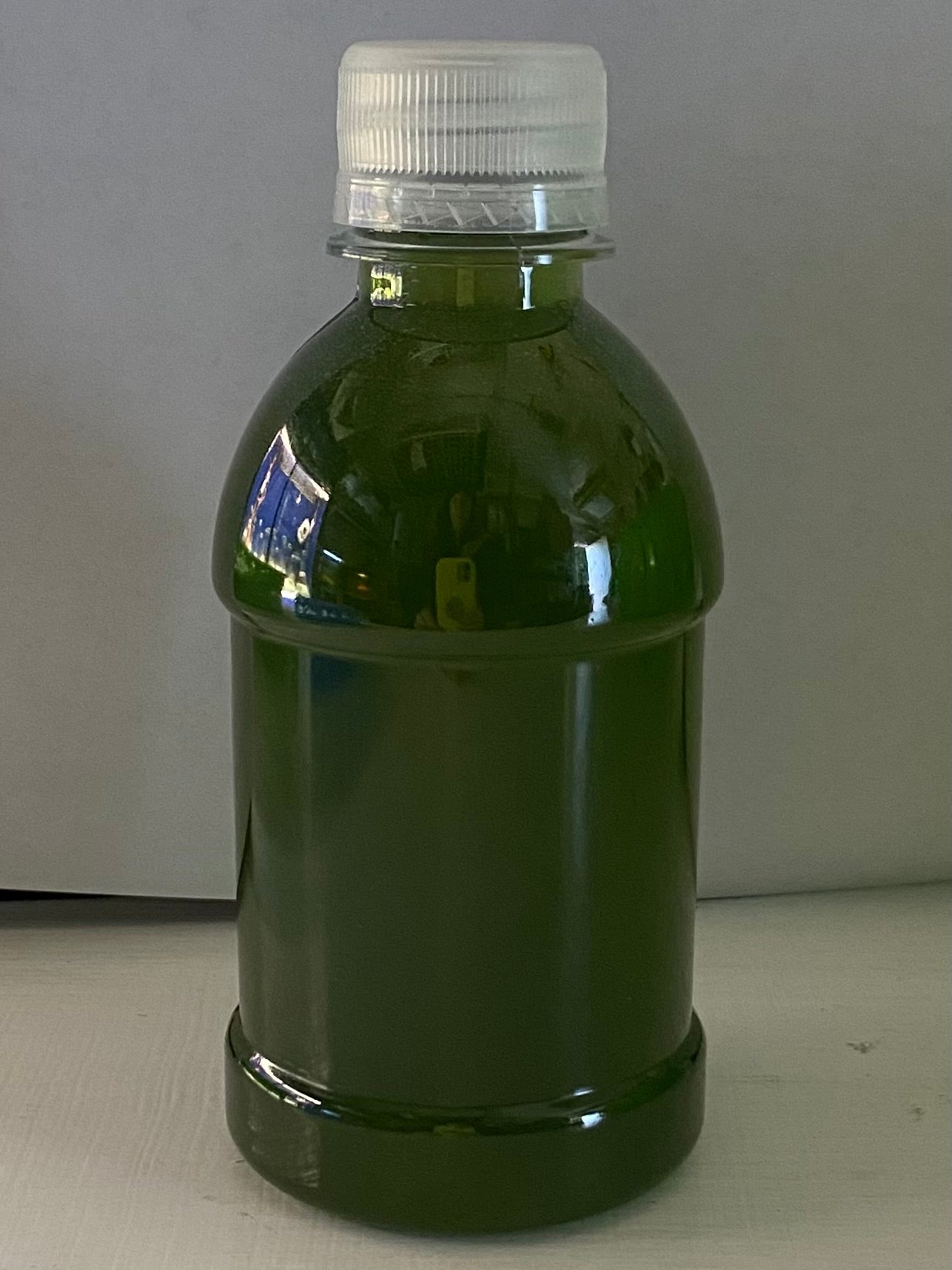 Algae Research Supply: Algae Culture Chlorella vulgaris