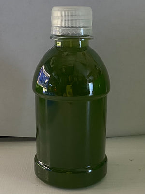 Algae Research Supply: Algae Culture, Tetraselmis chuii