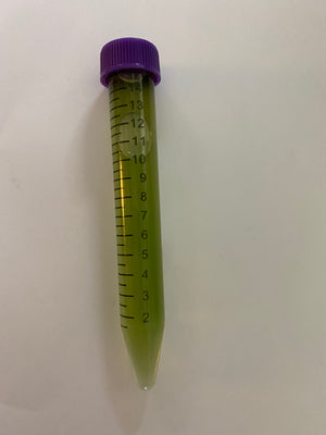 Algae Research Supply: Algae Culture, Arthrospira platensis (Spirulina)