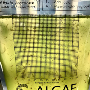Brainy Briny's in a Beaker Bag:  Algae and Brine Shrimp Growing Kit. (K-12, HS, AP-Bio, AP-ES)