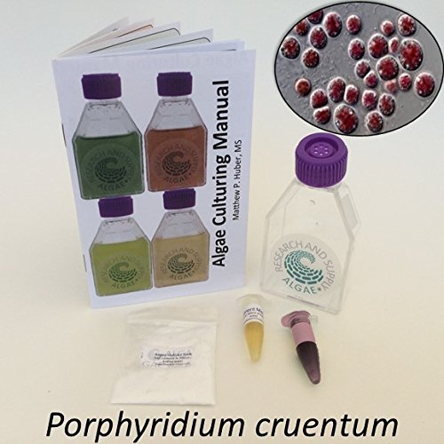 Algae Research Supply: Algae Culture Kit for Porphrydium cruentum