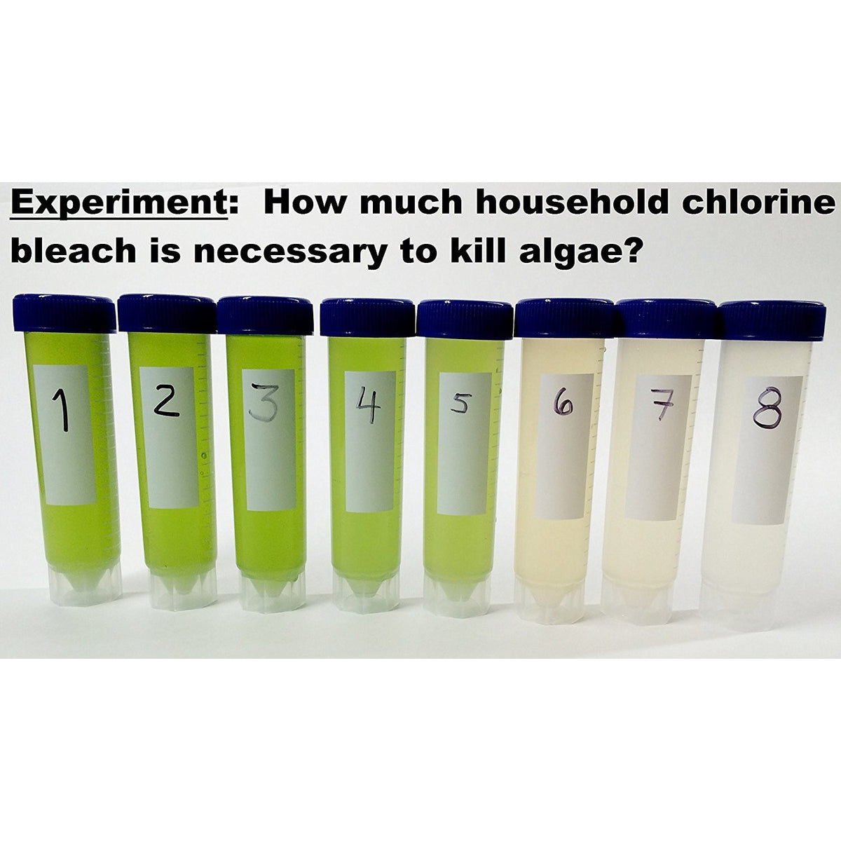 Algae Research Supply: Algae Research Kit for a Science Project