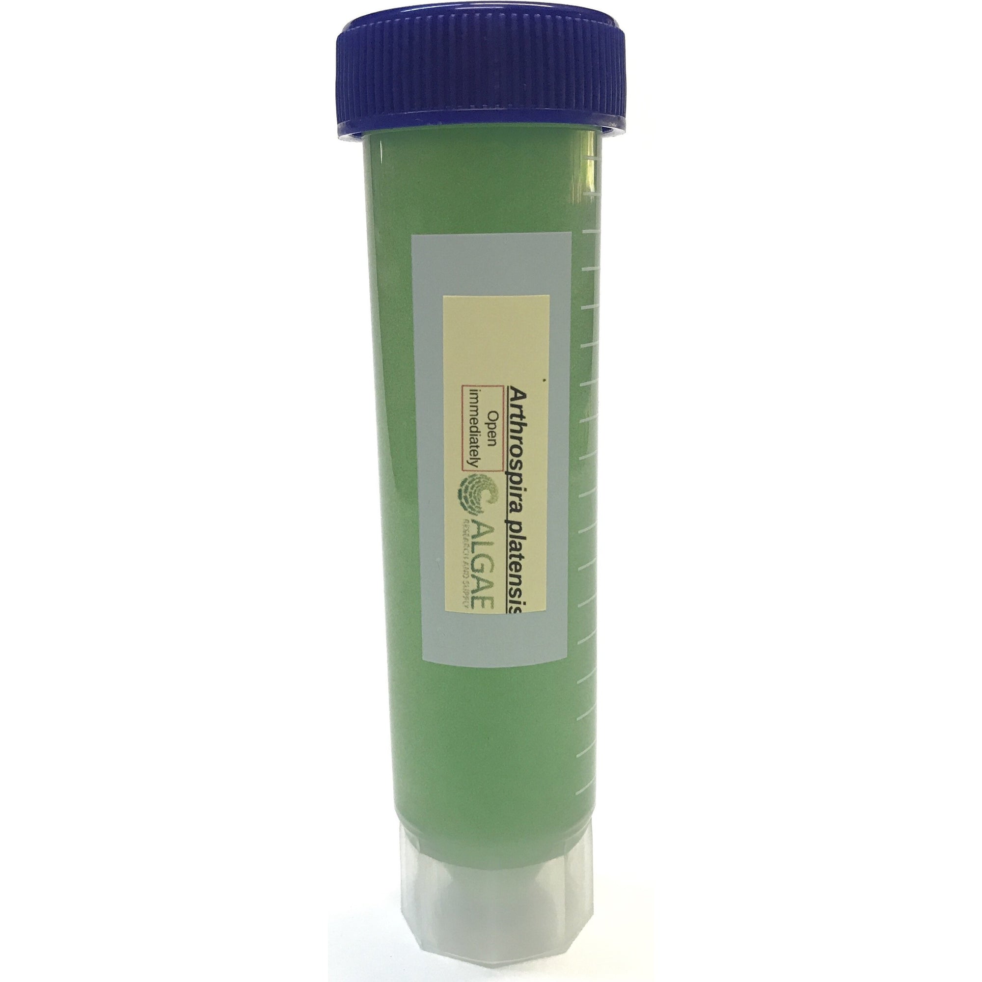 This is a 50ml centrifuge tube filled with algae culture, spirulina. 
