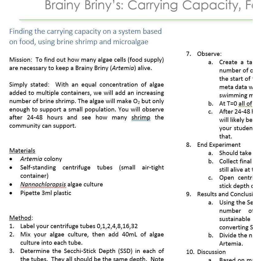 Brainy Briny:  Carrying Capacity Based on Food Availability