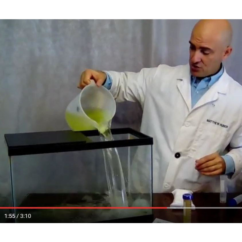Spirulina culturing kit.  Arthropira, superfood, algae, earthrise, spirulina systems.