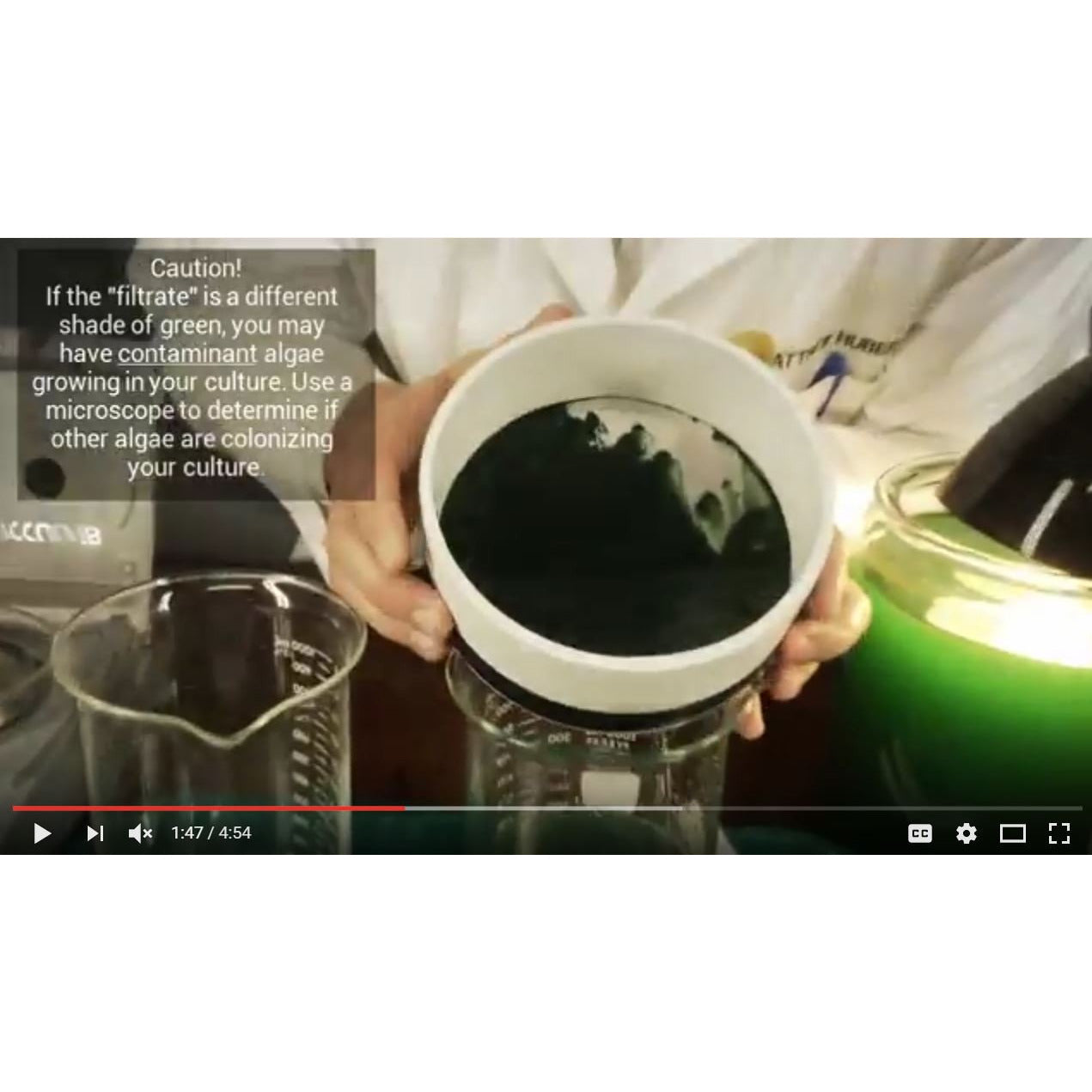 Spirulina culturing kit.  Arthropira, superfood, algae, earthrise, spirulina systems.
