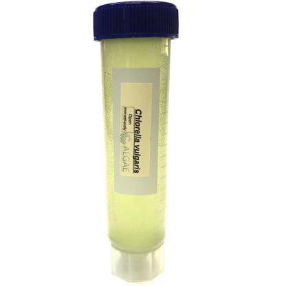 Algae Research Supply: Algae Culture Chlorella vulgaris