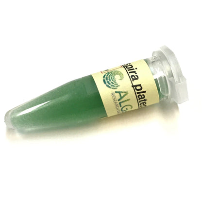 This is a microcentrifuge tube filled with spirulina from Algae Research and Supply.